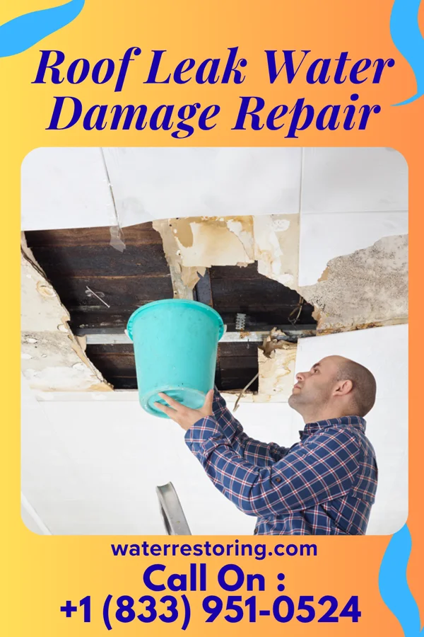 Roof Leak Water Damage Repair in Bushton, KS